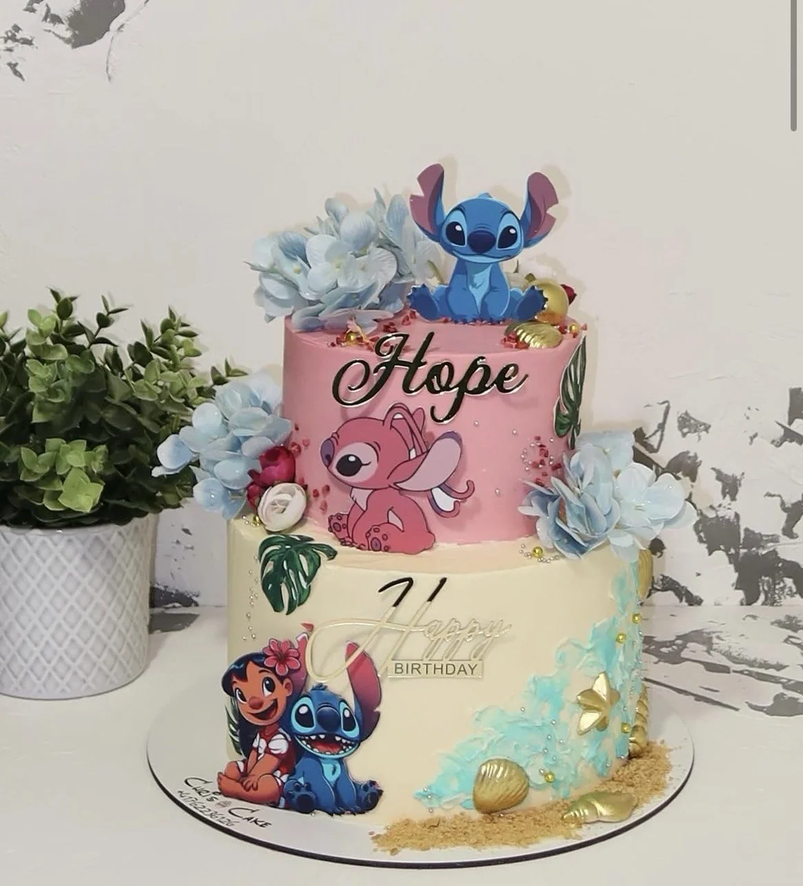Chrisi Cake 54