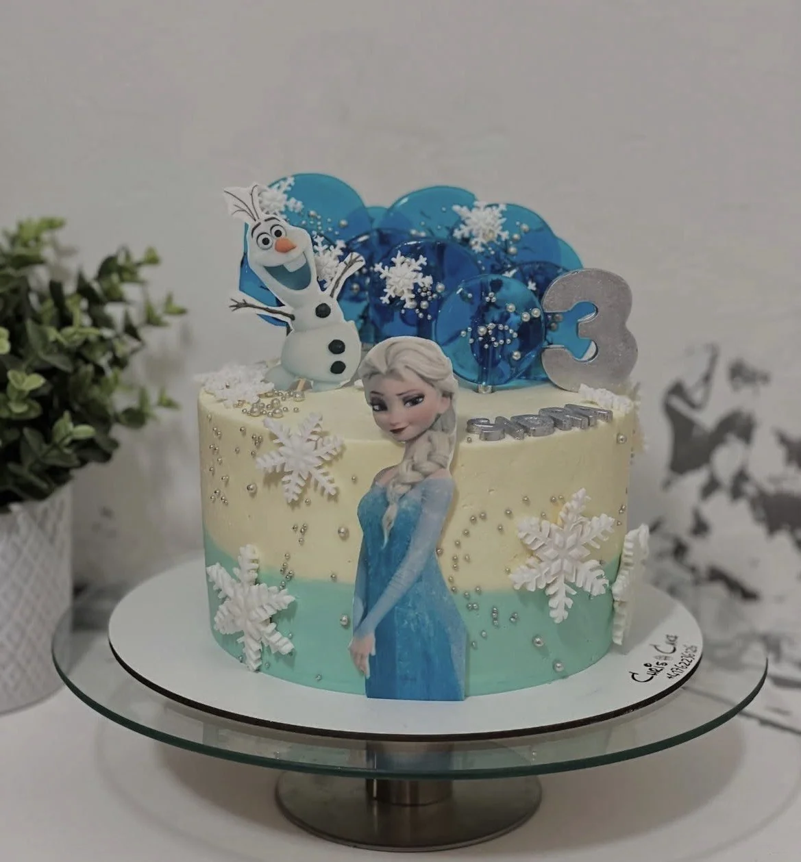 Chrisi Cake 58